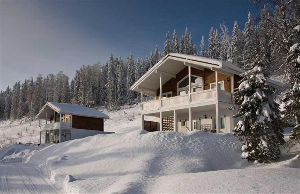 Karkutahko Villas Ruokonen Екстериор снимка