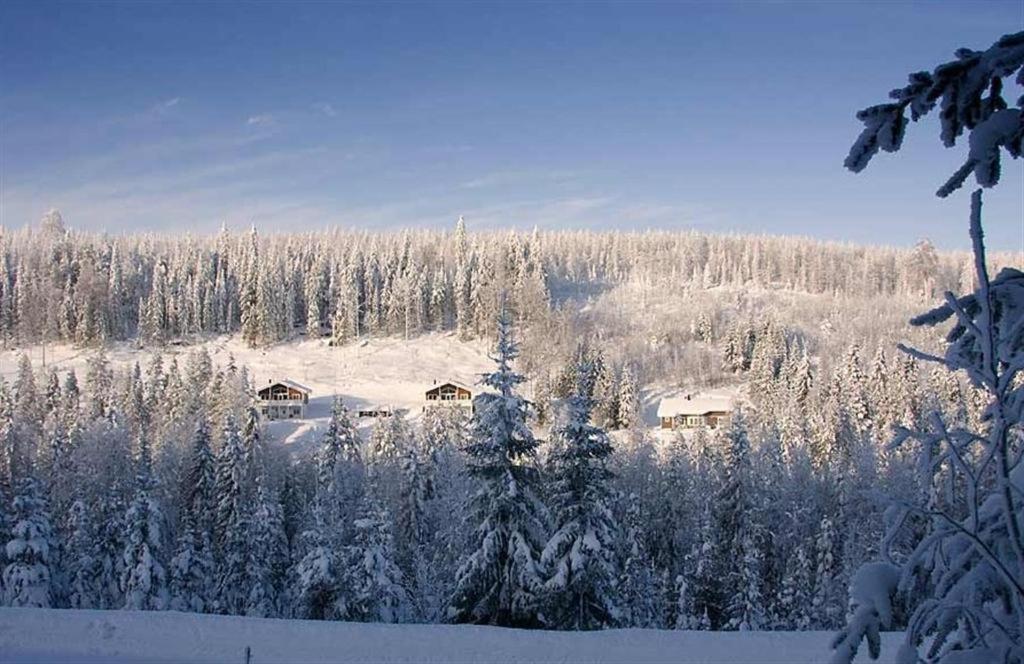 Karkutahko Villas Ruokonen Екстериор снимка