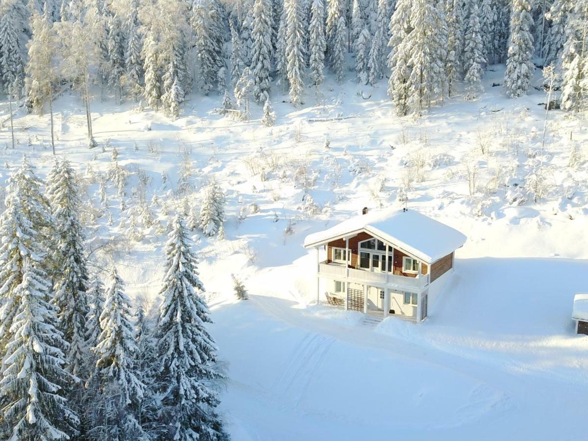 Karkutahko Villas Ruokonen Екстериор снимка