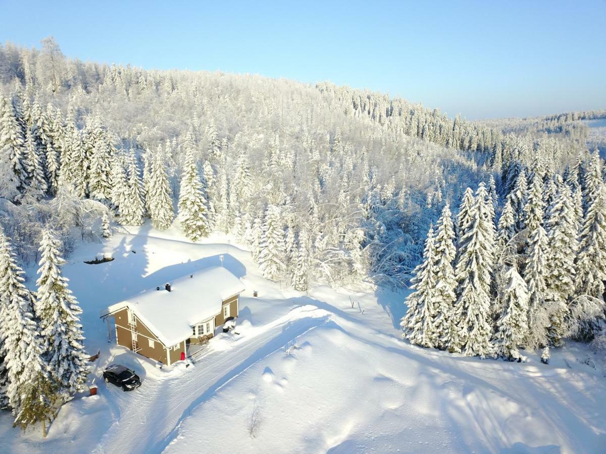 Karkutahko Villas Ruokonen Екстериор снимка