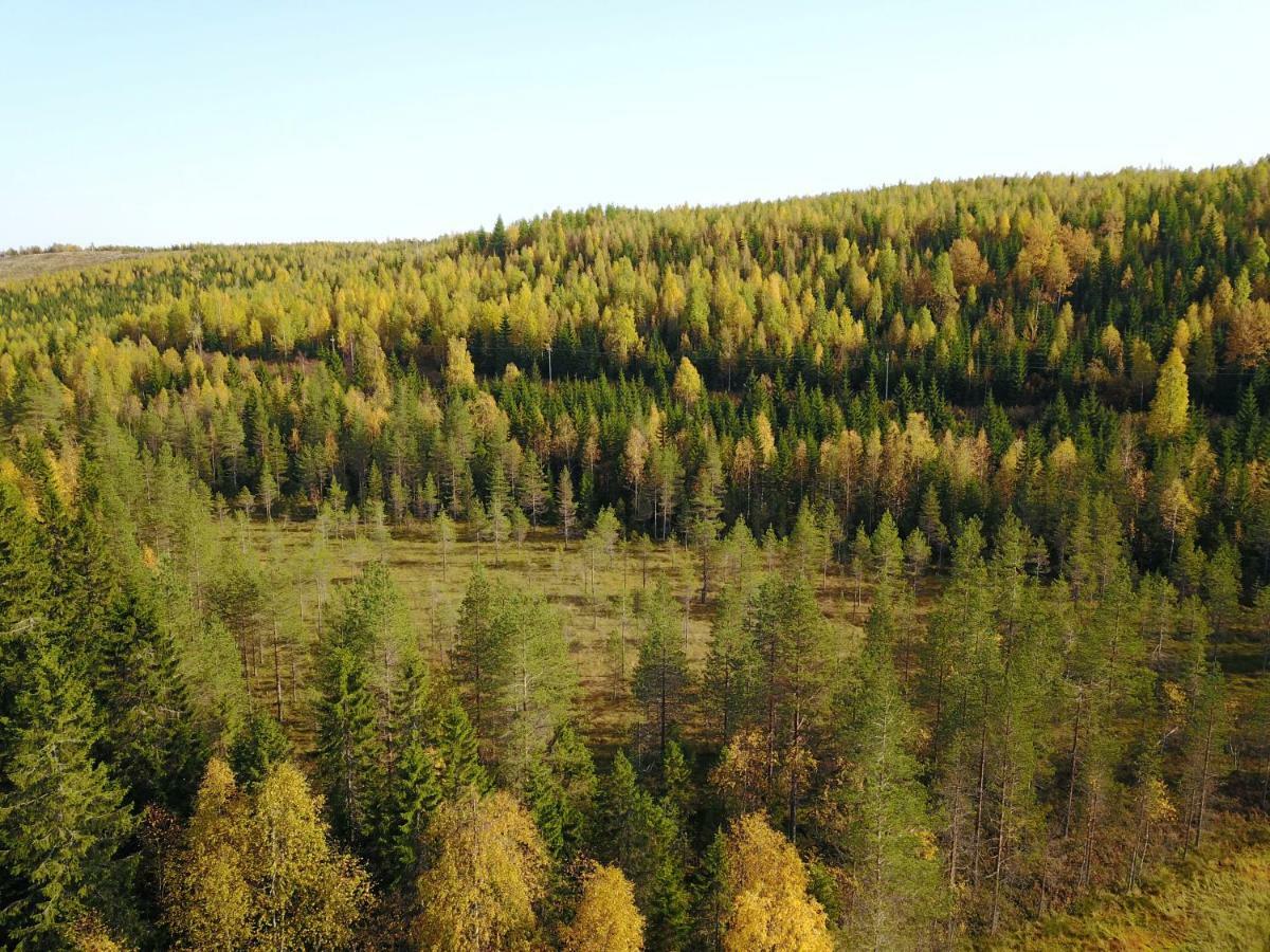 Karkutahko Villas Ruokonen Екстериор снимка